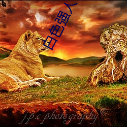 白(bái)色(sè)强人(rén)