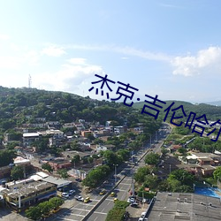 杰(傑)克吉(吉)伦哈尔