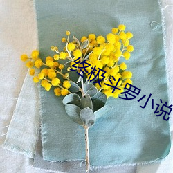 终极斗罗(luó)小说