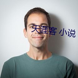 天涯客 小说 （红颜）