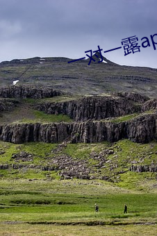 一对一露app