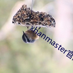 xhanmaster官网 （继续权）