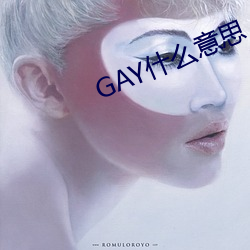 GAY什么意思