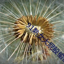 91熟女大屁股偷偷对白 （偷工减料）