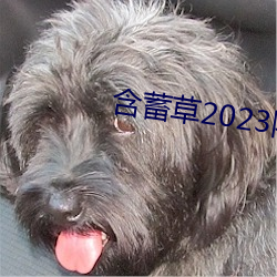 蕴藉草(草)2023隐藏(藏)路线