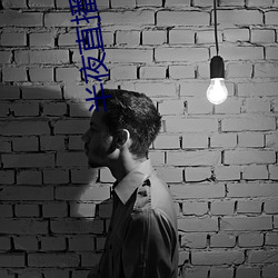 半夜(夜)直播平台(台)