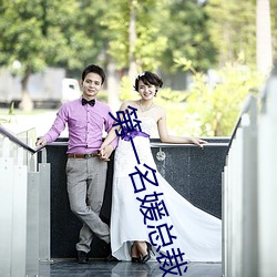 第一名媛(yuàn)总裁(cái)的(de)头号新(xīn)妻