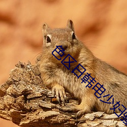 色(色)区(區)日韩(韓)电(電)少(少)妇骚