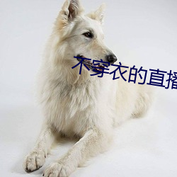 不穿衣的直播app