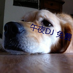 午(午)夜DJ 免(免)费(費)
