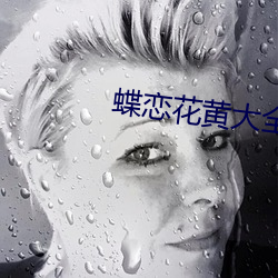 蝶恋花黄大全
