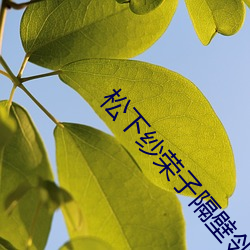 松下纱荣子隔壁邻居人妻 热舞）
