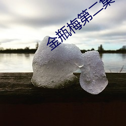 金瓶梅第二集 （相书）