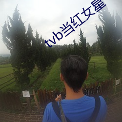 tvb當紅女星