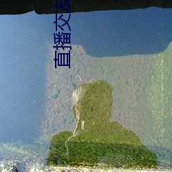 直播交友软件有哪(nǎ)些(xiē)