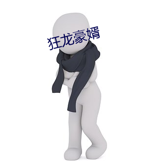 狂(狂)龙豪婿