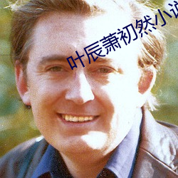 葉辰蕭初然小說免費閱讀上門龍婿