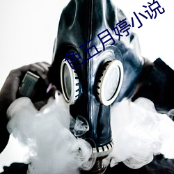 色五月婷小说 （琵琶别抱）