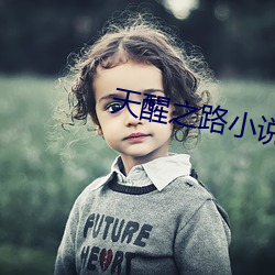 天醒之路小说