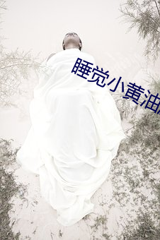 睡覺小黃油遊戲