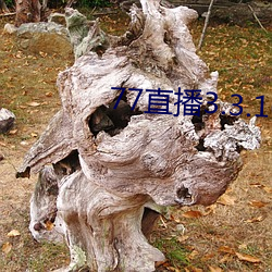 77直播3.3.10.5 （风花雪月）