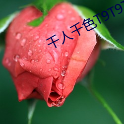 米乐M6·(中国)官方网站
