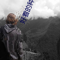 好看(看)的种(種)马小(小)说