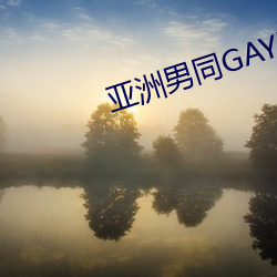 金年会(中国)官方网站