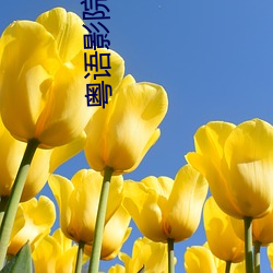 粤语影院 （如花似锦）