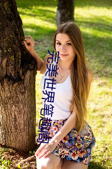完美世界(jiè)笔趣阁
