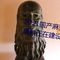 2021国产麻豆剧传媒精品入口被爆料正在建设新区?知情人:游