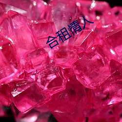 合租情人