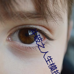 鬥破之人生模擬器