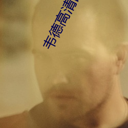 韦德(德)高清图(圖)片(片)