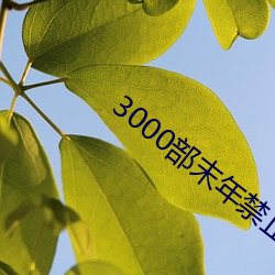 3000部末年榨取無需下載