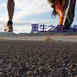 重生之傻夫君(君)