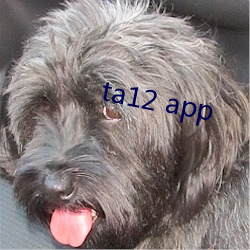 ta12 app