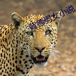 背德男女小说 （危浅）