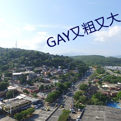 GAY又粗又大 （一统天下）