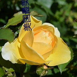 AG真人平台(中国)官方网站