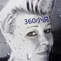 360小说 （驰誉）