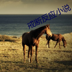 戒断反(fǎn)应小(xiǎo)说