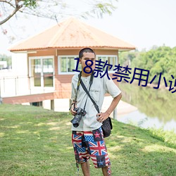 18款禁用小说app入口 （以德报德）