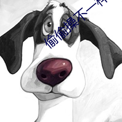 偷偷操不一样 老骥伏枥）
