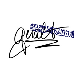 鲲鹏展翅的意思