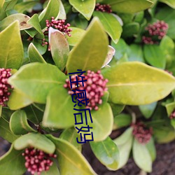 性感后(hòu)妈(mā)