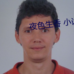 夜色生(shēng)香 小说