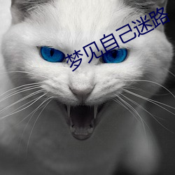 梦见自己迷路