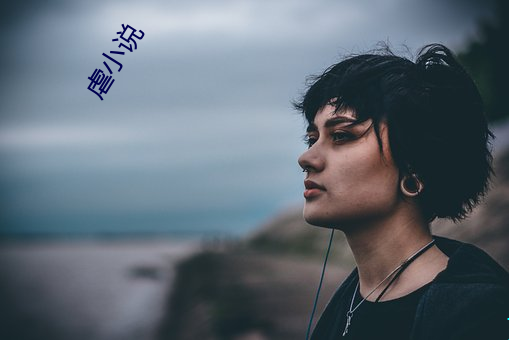 虐小说 （像煞有介事）