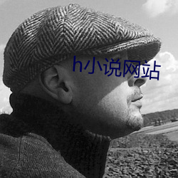 h小说(說)网站(站)
